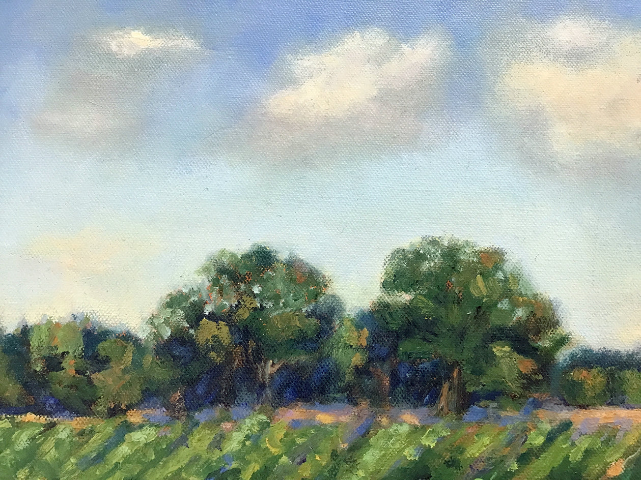 Sunday Afternoon, Delta Farmland by Elizabeth Garat |  Closeup View of Artwork 