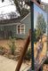 Original art for sale at UGallery.com | Tree Portrait; Ashland Oregon by Elizabeth Garat | $850 | oil painting | 18' h x 14' w | thumbnail 2