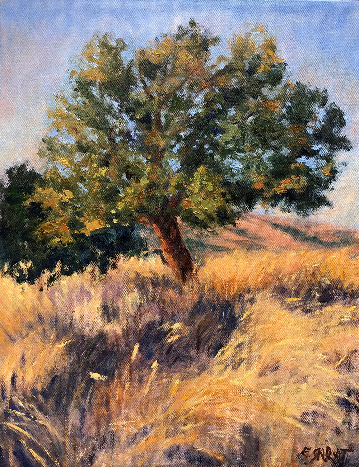 Tree Portrait; Ashland Oregon by Elizabeth Garat - oil painting | UGallery