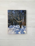 Original art for sale at UGallery.com | Winter Study, Light and Shadows by Elizabeth Garat | $750 | oil painting | 18' h x 14' w | thumbnail 2