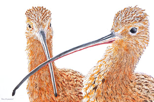 Original art for sale at UGallery.com | A Pair of Curlews by Emil Morhardt | $1,925 | acrylic painting | 24' h x 36' w | photo 1