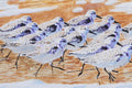 Original art for sale at UGallery.com | A Slalom of Sanderlings by Emil Morhardt | $2,975 | acrylic painting | 24' h x 48' w | thumbnail 4