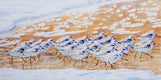 Original art for sale at UGallery.com | A Slalom of Sanderlings by Emil Morhardt | $2,975 | acrylic painting | 24' h x 48' w | thumbnail 1