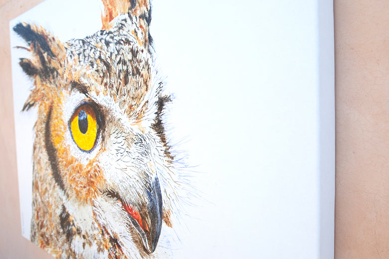 A Watchful Great Horned Owl by Emil Morhardt |  Side View of Artwork 