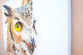 Original art for sale at UGallery.com | A Watchful Great Horned Owl by Emil Morhardt | $1,925 | acrylic painting | 24' h x 36' w | thumbnail 2