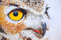 Original art for sale at UGallery.com | A Watchful Great Horned Owl by Emil Morhardt | $1,925 | acrylic painting | 24' h x 36' w | thumbnail 4