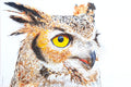 Original art for sale at UGallery.com | A Watchful Great Horned Owl by Emil Morhardt | $1,925 | acrylic painting | 24' h x 36' w | thumbnail 1