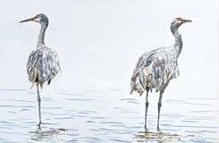 Original art for sale at UGallery.com | Alone Together by Emil Morhardt | $1,925 | acrylic painting | 24' h x 36' w | thumbnail 1