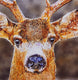 Original art for sale at UGallery.com | Big Deer by Emil Morhardt | $2,475 | acrylic painting | 40' h x 40' w | thumbnail 4