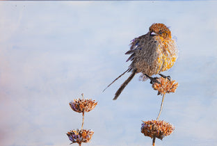 Original art for sale at UGallery.com | Bushtit on Sage #2 by Emil Morhardt | $1,925 | acrylic painting | 24' h x 36' w | photo 1