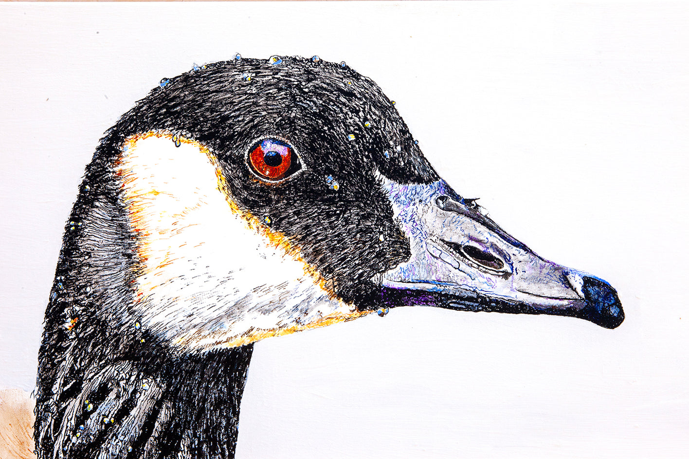 Canada Goose #1 by Emil Morhardt |  Closeup View of Artwork 