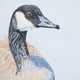 Original art for sale at UGallery.com | Canada Goose #1 by Emil Morhardt | $2,300 | acrylic painting | 36' h x 36' w | thumbnail 1