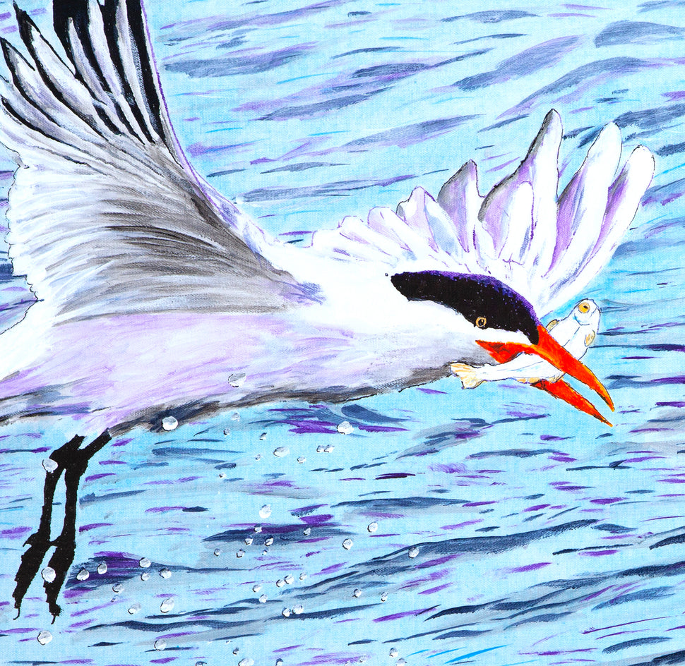 Caspian Tern Fishing by Emil Morhardt |  Closeup View of Artwork 