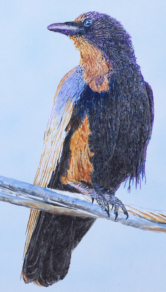 Crow on a Wire by Emil Morhardt |  Closeup View of Artwork 