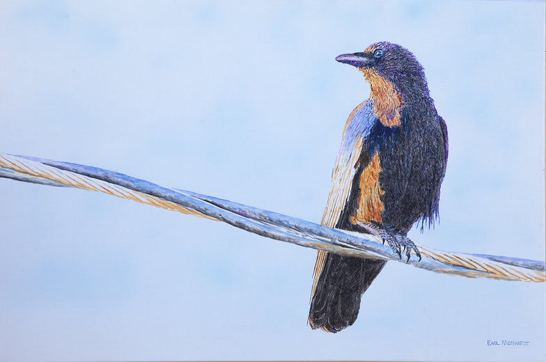 Crow on a Wire by Emil Morhardt |  Artwork Main Image 
