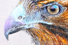 Original art for sale at UGallery.com | Galapagos Hawk by Emil Morhardt | $1,925 | acrylic painting | 24' h x 36' w | thumbnail 4