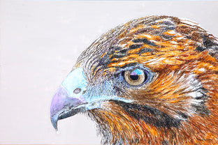 Original art for sale at UGallery.com | Galapagos Hawk by Emil Morhardt | $1,925 | acrylic painting | 24' h x 36' w | photo 1