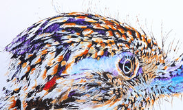 Original art for sale at UGallery.com | Greater Roadrunner #4 by Emil Morhardt | $1,925 | acrylic painting | 24' h x 36' w | thumbnail 4