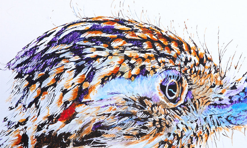 Greater Roadrunner #4 by Emil Morhardt |   Closeup View of Artwork 