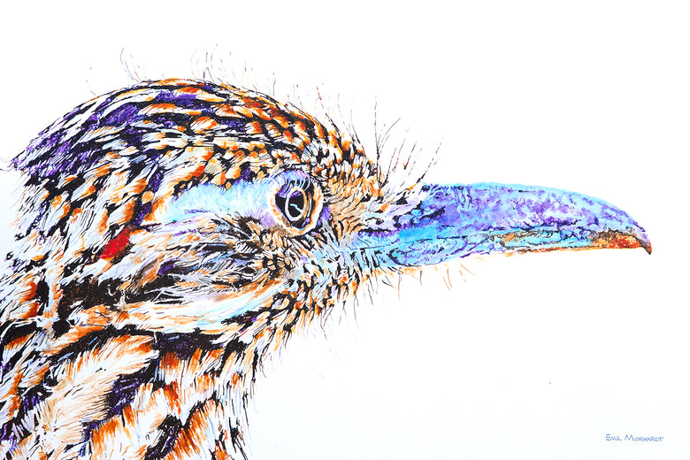 Greater Roadrunner #4 by Emil Morhardt |  Artwork Main Image 