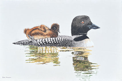 acrylic painting by Emil Morhardt titled Loon with Chick