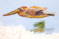 Original art for sale at UGallery.com | Pelican Nearshore by Emil Morhardt | $1,925 | acrylic painting | 24' h x 36' w | thumbnail 1