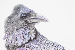 Raven Skeptic by Emil Morhardt |  Artwork Main Image 