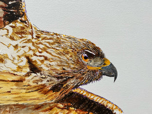 Red-Tailed Hawk on the Hunt by Emil Morhardt |   Closeup View of Artwork 