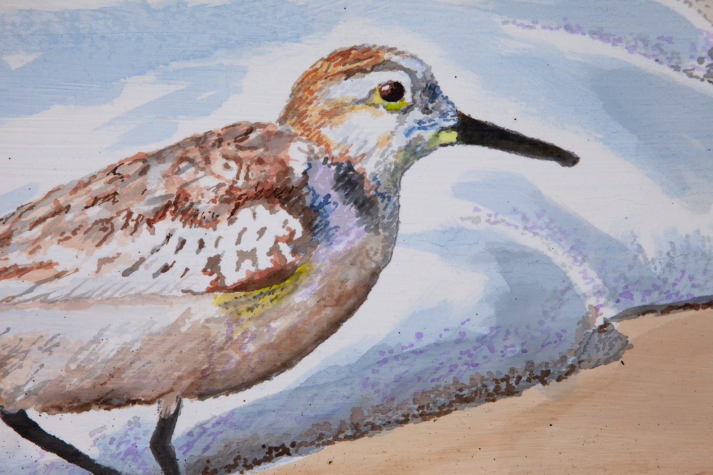 Sanderling #22 by Emil Morhardt |  Closeup View of Artwork 