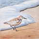 Original art for sale at UGallery.com | Sanderling #22 by Emil Morhardt | $975 | acrylic painting | 18' h x 18' w | thumbnail 1