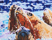 Original art for sale at UGallery.com | Steller Sea Lions at Sea by Emil Morhardt | $1,925 | acrylic painting | 24' h x 36' w | thumbnail 4