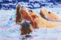 Original art for sale at UGallery.com | Steller Sea Lions at Sea by Emil Morhardt | $1,925 | acrylic painting | 24' h x 36' w | thumbnail 1