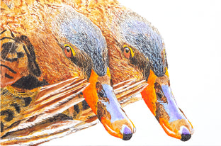 Original art for sale at UGallery.com | The Coy Miss Mallards by Emil Morhardt | $1,925 | acrylic painting | 24' h x 36' w | photo 1