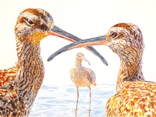 Three Whimbrels in Conversation by Emil Morhardt |  Artwork Main Image 