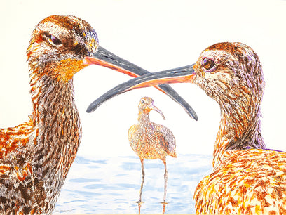Three Whimbrels in Conversation by Emil Morhardt | Artwork Main Image