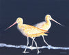 Original art for sale at UGallery.com | Two Godwits at Night by Emil Morhardt | $1,775 | acrylic painting | 24' h x 30' w | thumbnail 1