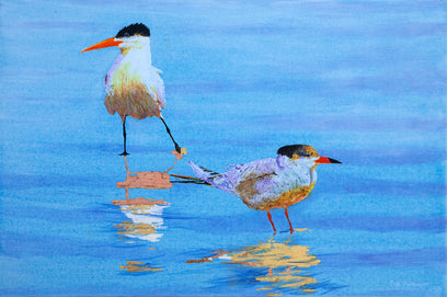 Two Tentative Terns by Emil Morhardt | Artwork Main Image