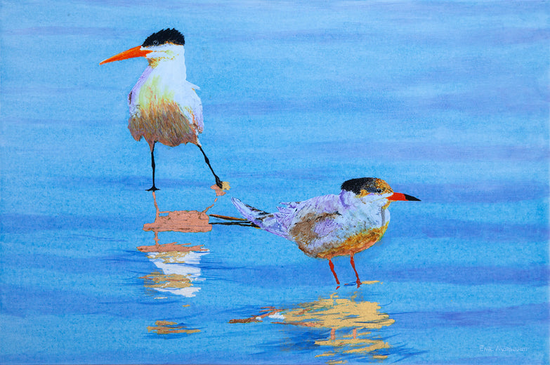 Two Tentative Terns by Emil Morhardt |  Artwork Main Image 