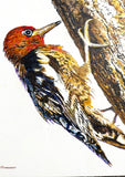 Original art for sale at UGallery.com | Woodpeckers on Tree by Emil Morhardt | $1,925 | acrylic painting | 36' h x 24' w | thumbnail 4