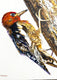 Original art for sale at UGallery.com | Woodpeckers on Tree by Emil Morhardt | $1,925 | acrylic painting | 36' h x 24' w | thumbnail 4