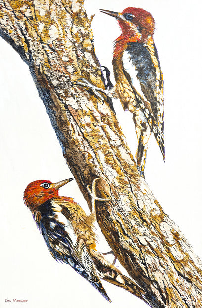 Woodpeckers on Tree by Emil Morhardt | Artwork Main Image