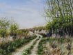 Original art for sale at UGallery.com | Among the Hills by Erika Fabokne Kocsi | $500 | watercolor painting | 8' h x 12' w | thumbnail 1