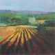 Original art for sale at UGallery.com | Fields in Sunlight, Provence by Janet Dyer | $950 | acrylic painting | 20' h x 20' w | thumbnail 1