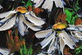 Original art for sale at UGallery.com | Springtime Promise II by Lisa Elley | $300 | oil painting | 10' h x 8' w | thumbnail 4