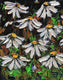 Original art for sale at UGallery.com | Springtime Promise II by Lisa Elley | $300 | oil painting | 10' h x 8' w | thumbnail 1
