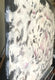 Original art for sale at UGallery.com | Peony by DL Watson | $3,050 | acrylic painting | 36' h x 36' w | thumbnail 2