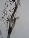 Original art for sale at UGallery.com | Gestural Ink Drawing #57 by Gail Ragains | $375 | ink artwork | 22' h x 15' w | thumbnail 4