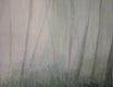 Original art for sale at UGallery.com | The Glade by Carole Moore | $1,975 | acrylic painting | 20' h x 40' w | thumbnail 4