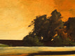 Original art for sale at UGallery.com | Golden Light II by Mandy Main | $425 | oil painting | 12' h x 12' w | thumbnail 4