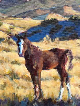 Colt Stare by Heather Foster |   Closeup View of Artwork 